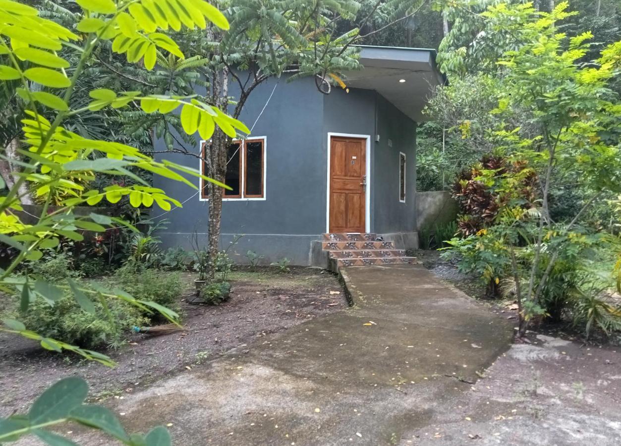 Tangkoko Ranger Homestay Bitung Luaran gambar
