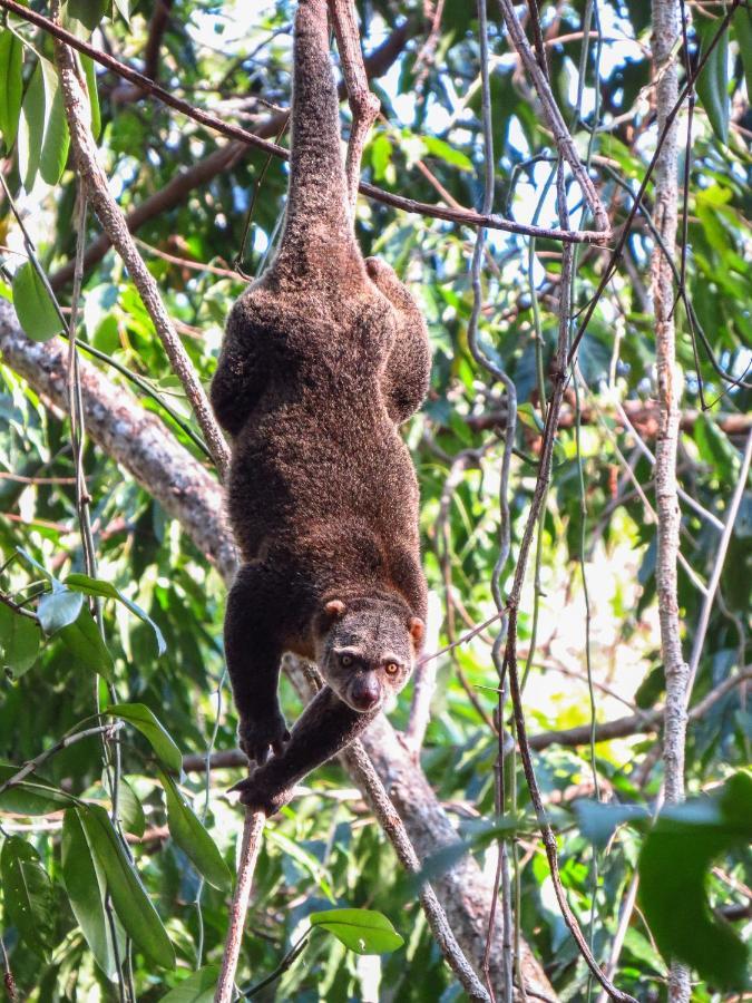 Tangkoko Ranger Homestay Bitung Luaran gambar